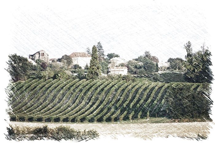 chateau on a hill surrounded by vineyards