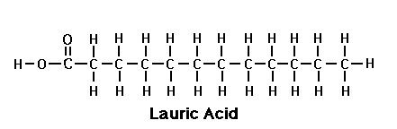 Lauric ACID is half the coconut oil