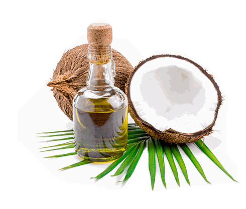 keto_coconut_oil_490.png keto_coconut_oil_490.png