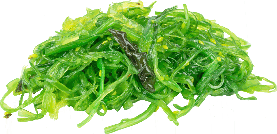 qualifirst-paleo-flavour.png qualifirst-paleo-flavour.png