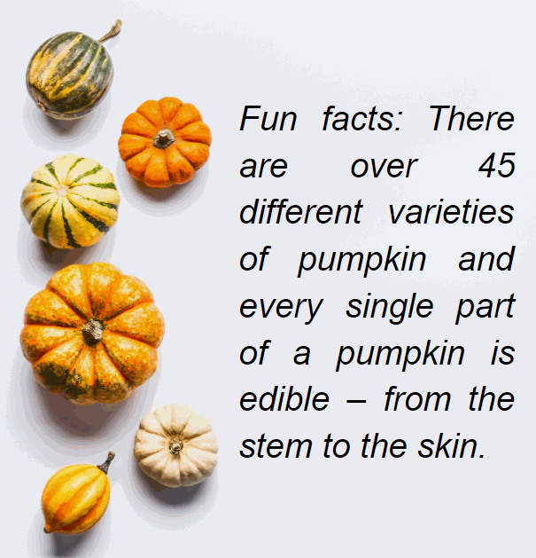 Pfun.PNG