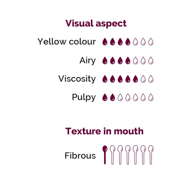 Visual Aspect