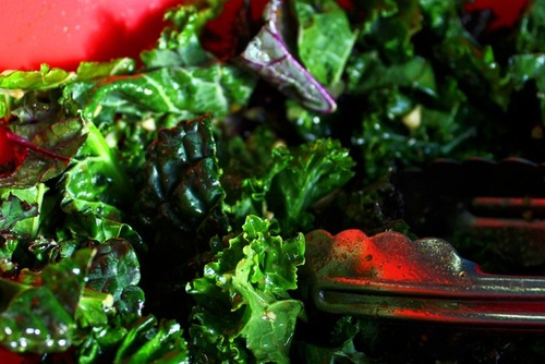 Kale, Marcona Almond and Blueberry Superfood Salad