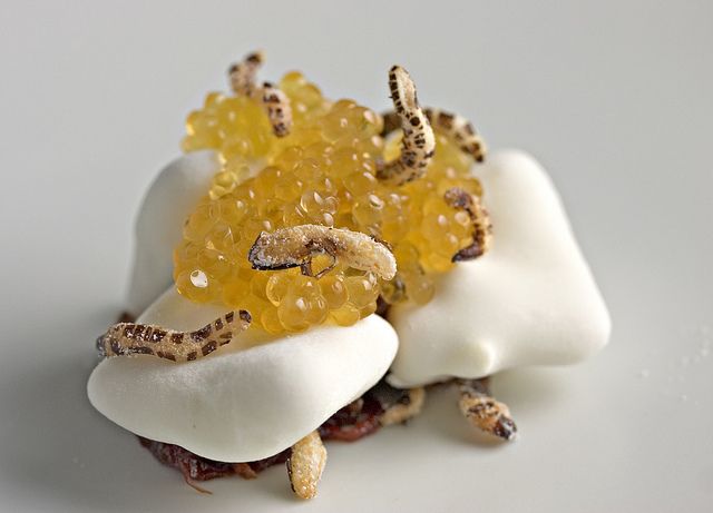 Discover Why Yuzu is the new favorite of Top Chefs?