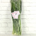 Packaging Back [8716550] 181964_B.jpg