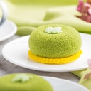 Marketing Photos Brochures [8727168] 150188_S2.JPG