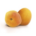 Apricot Extra Preserve - 5 kg Agrimontana