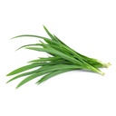 Pandan Leaves Frozen 227 g Coco Tree