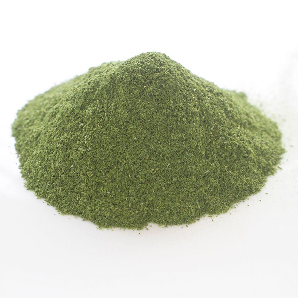 Dill Powder Freeze Dried - 50 g Fresh-As