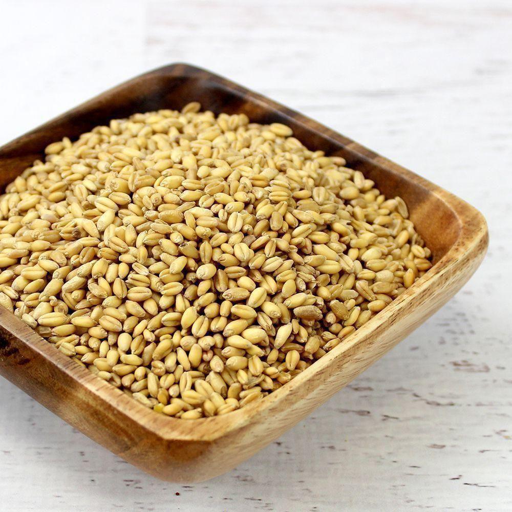 Wheat Kernels Soft 5 kg Epigrain