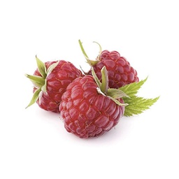 [215542] Wild Raspberry Extra Preserve - 5 kg Agrimontana