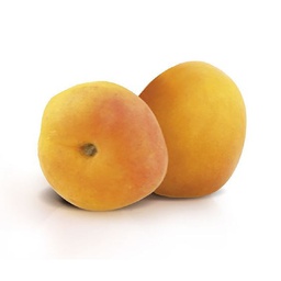 [215543] Apricot Extra Preserve - 5 kg Agrimontana