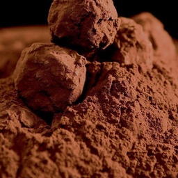 [170290] Cacao POWDER 3 kg Michel Cluizel