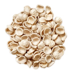 [206001] Orecchiette Artisanal Pasta - 2 kg Viniteau
